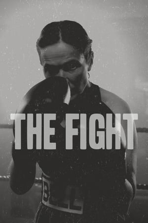 Бой онлайн